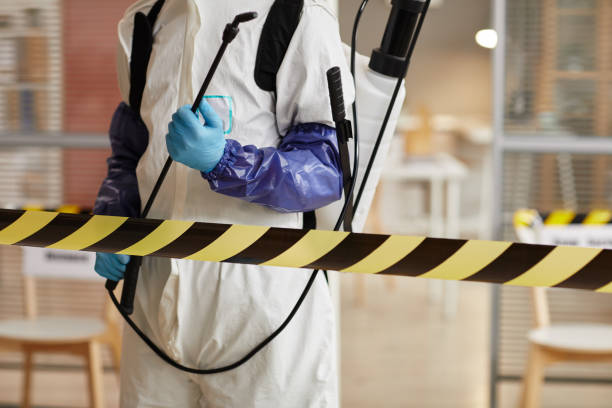 Professional Hoarding Cleanup technician working in Martindale, TX